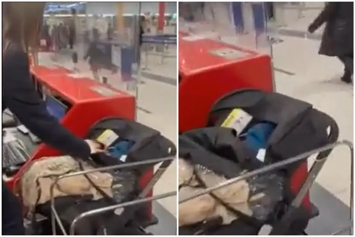 Airline staff can be seen uncovering a blanket off a carrier to find the baby inside.