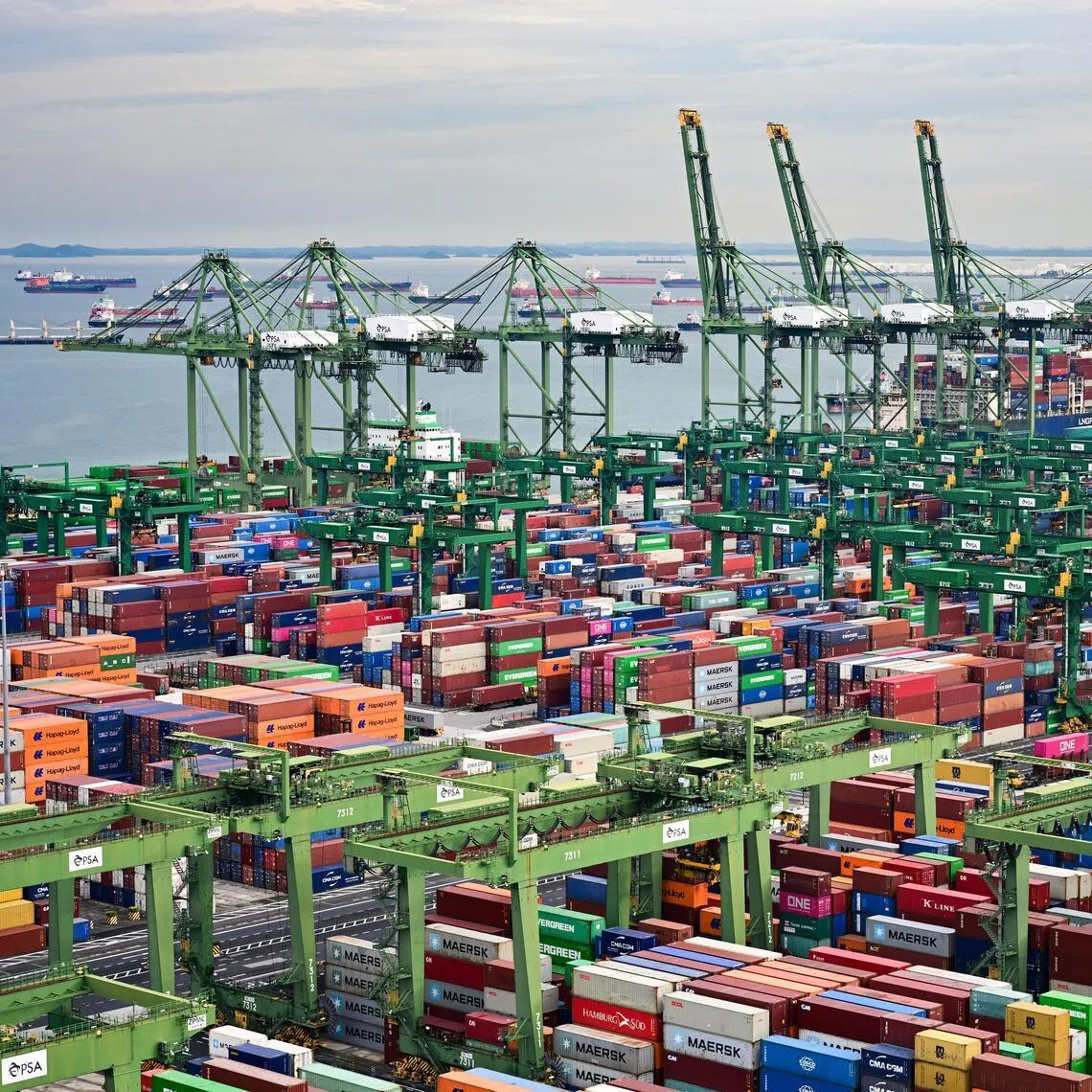 Nodx grew by 9.6 per cent in the first quarter, extending the 12.7 per cent expansion in the fourth quarter of 2025.
