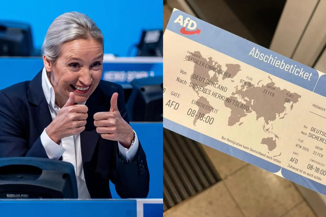 The AfD's Dr Alice Weidel has explicitly called for the “remigration” of foreigners, and her far-right party's “Deportation Ticket” stunt is being compared to a similar campaign in the 1930s by the Nazis.