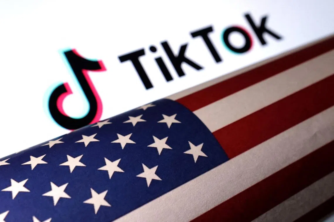Many brands - particularly in the beauty, skin care, fashion, and health and wellness industries - have used TikTok to boost their sales