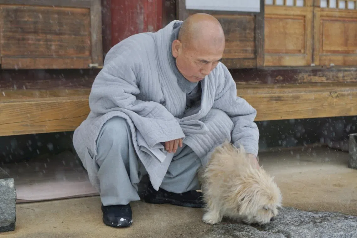 Venerable Hyunjong pets Huindung, a dog who lives at the temple. 