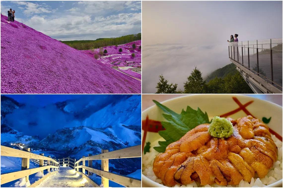 Japan’s most northerly and least developed island Hokkaido is more than ski slopes and ice festivals.