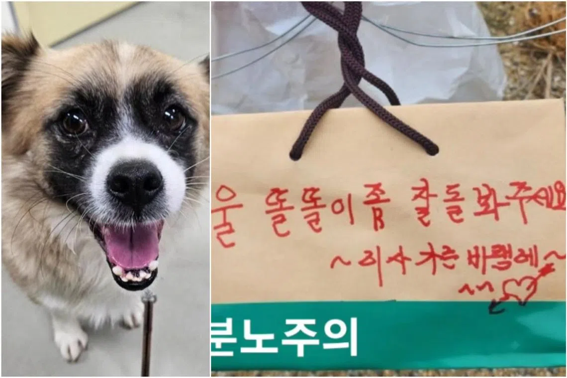 The dog's previous owner left a note that said: "Please take good care of my dear one due to the move."