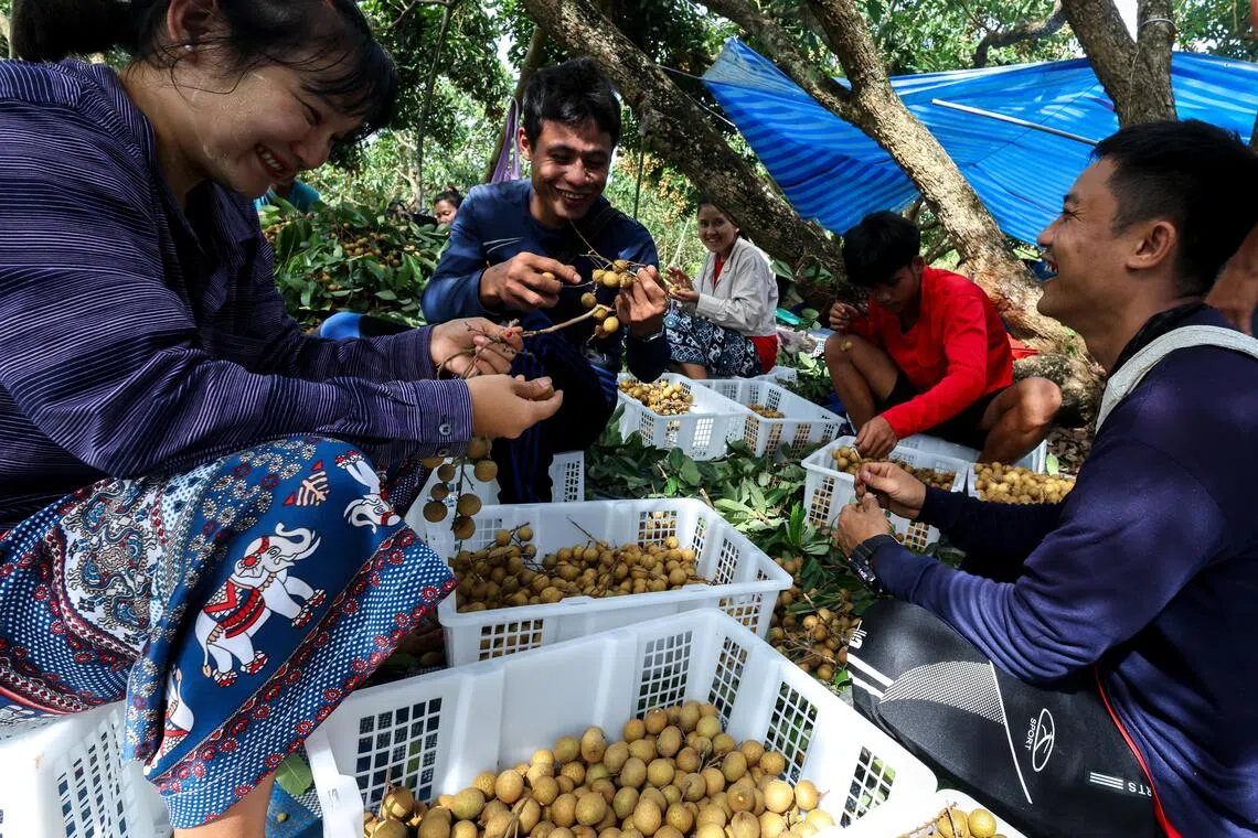 Myanmar urged its citizens to “come back to Myanmar and vote in the general election”.
