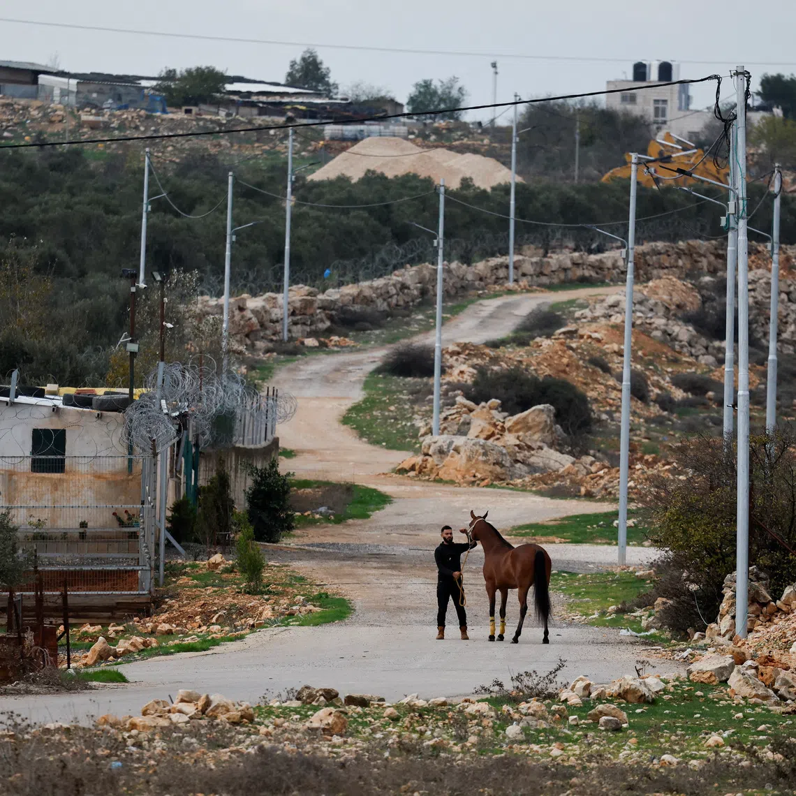 A Palestinian man stands with his horse in the Palestinian village of Deir Dibwan, in the Israeli-occupied West Bank, on Dec 13.