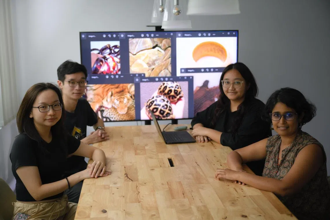 Environment protection organisation World Wildlife Fund have deployed an AI to scan browsers for signs of illegal wildlife trading online. It is among projects led by Ai Singapore's 100 AI projects initiative to help companies break through testing to deploy AI. Exclusive interview