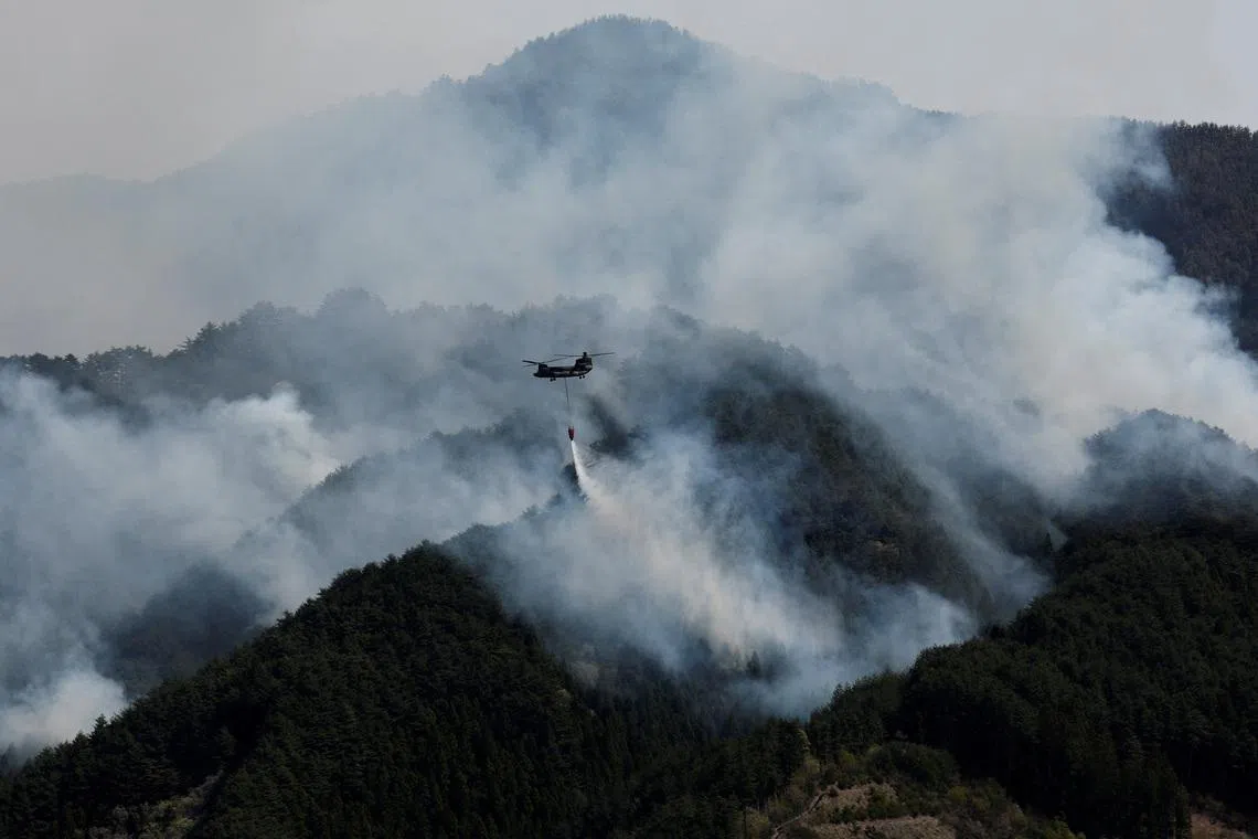 A helicopter conducting firefighting operations as wildfires continue in Otsuchi at the  Iwate Prefecture, Japan on April 26, 2026. 