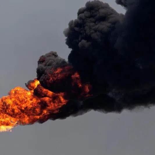 The chapter was removed after US Republican state attorneys-general argued it was biased against fossil fuel companies. 