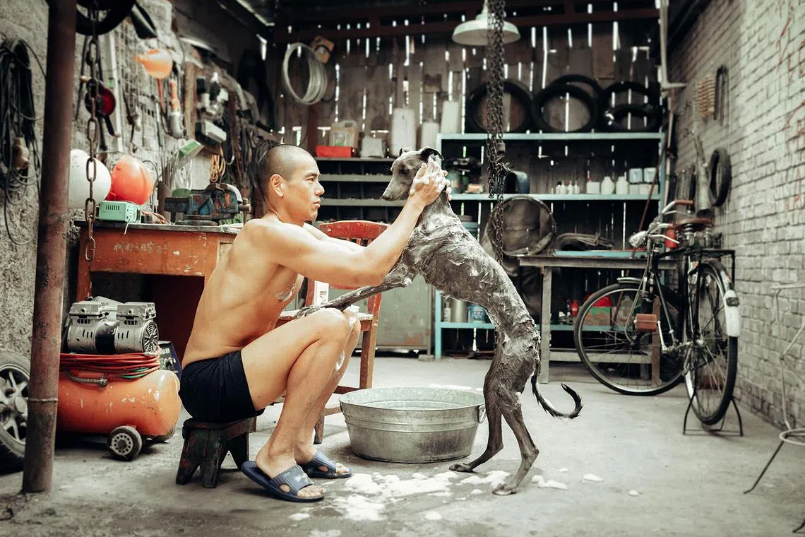 Eddie Peng in the drama Black Dog



Source: The Projector