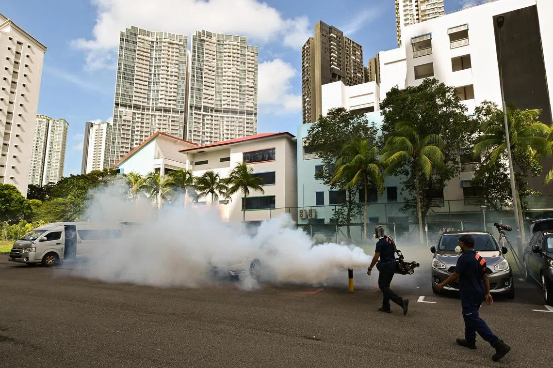 A total of 3,865 dengue cases in Singapore have been reported in 2023 as at June 17.