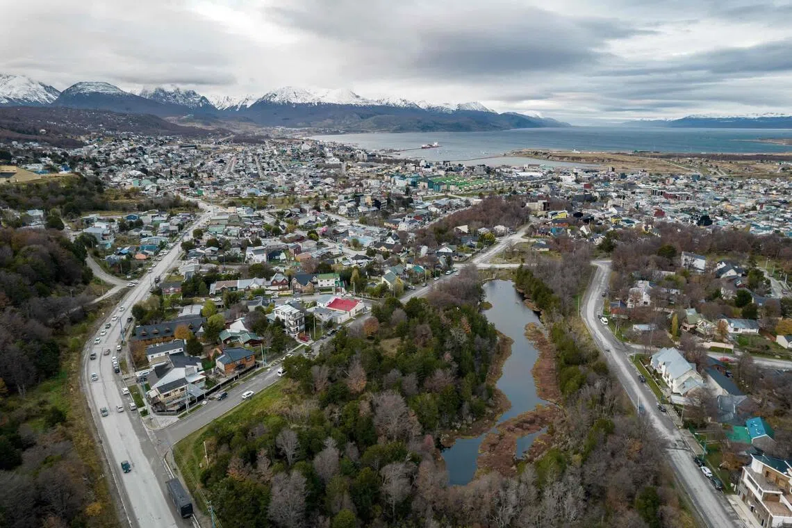 In Argentinas Tierra del Fuego, a hunt for the rodent carrier of hantavirus - The Straits Times thumbnail