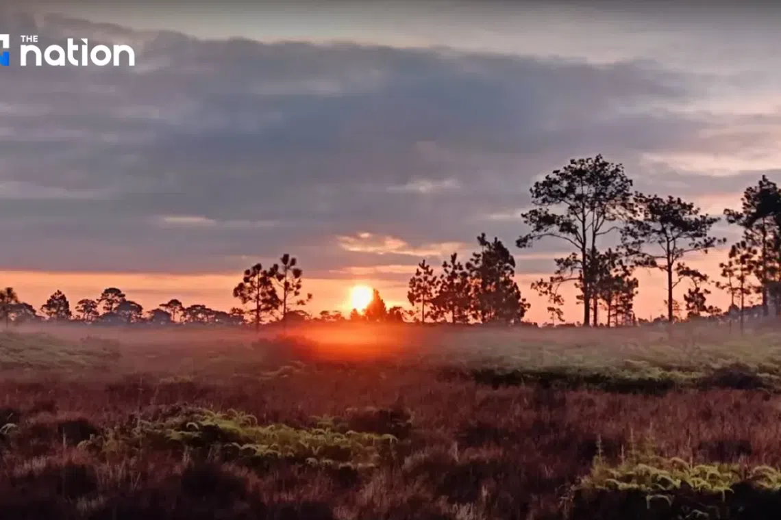 Several trails have been closed at Phu Kradueng National Park after a woman was killed by an elephant on Dec 10.