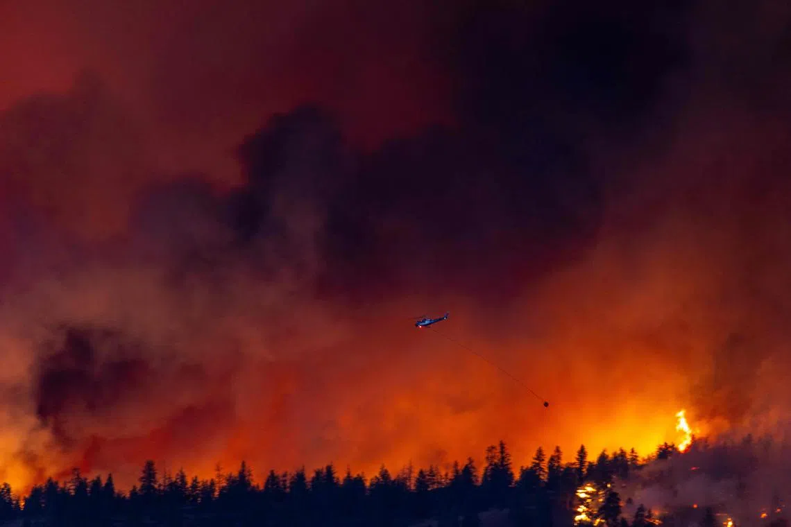 Meta has been labelled "reckless and irresponsible" for a news ban that means people do not have access to crucial information about Canada's wildfires.