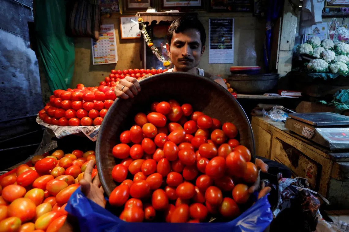 FILE PHOTO: A vendor loads tomatoes in a bag for a customer at a wholesale vegetable market in Mumbai, India, March 14, 2018. REUTERS/Danish Siddiqui/File Photo