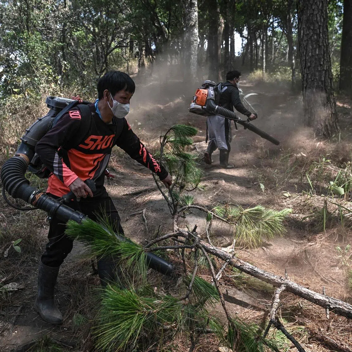 Volunteer firefighters from Hmong Doi Pui village using leaf blowers to clear a firebreak in the Doi Suthep-Pui National Park area of Chiang Mai on March 16.