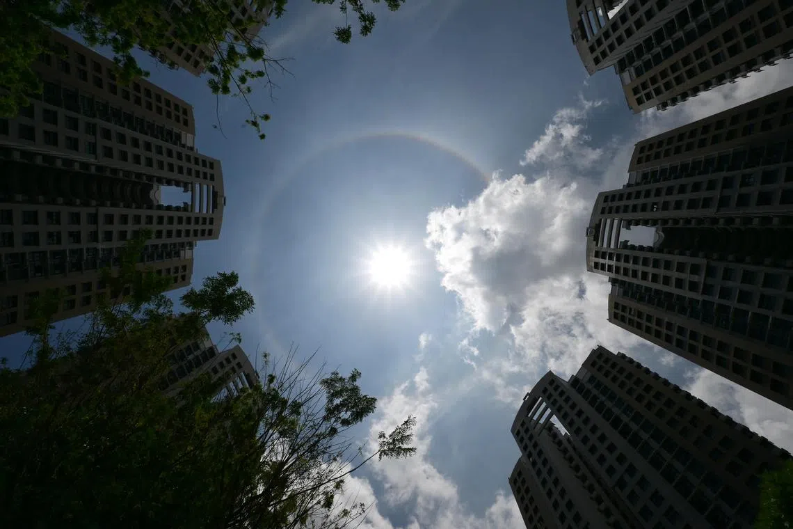 Sun halo spotted at Senja Grand in Bukit Panjang at 1.46pm on March 15, 2025.