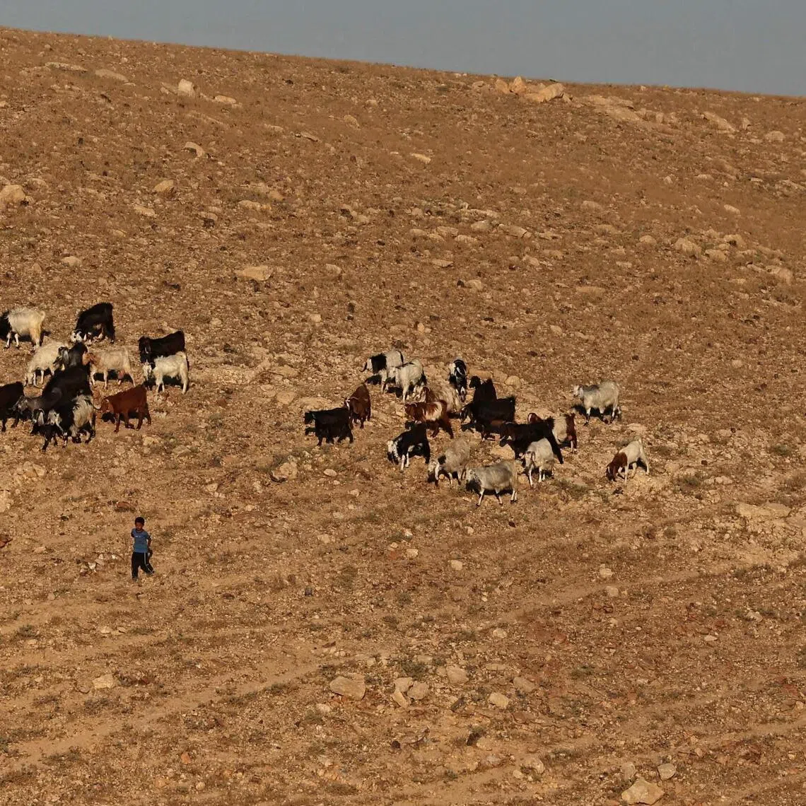 Rural Palestinian communities are bearing the brunt of Israeli settler violence and forced displacement.