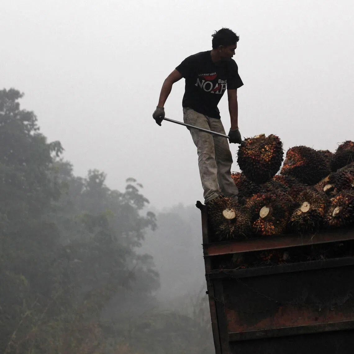 In 2019, PM2.5 pollution caused about 1.1 million premature deaths in South-east Asia, led by Indonesia, Vietnam and Thailand. 