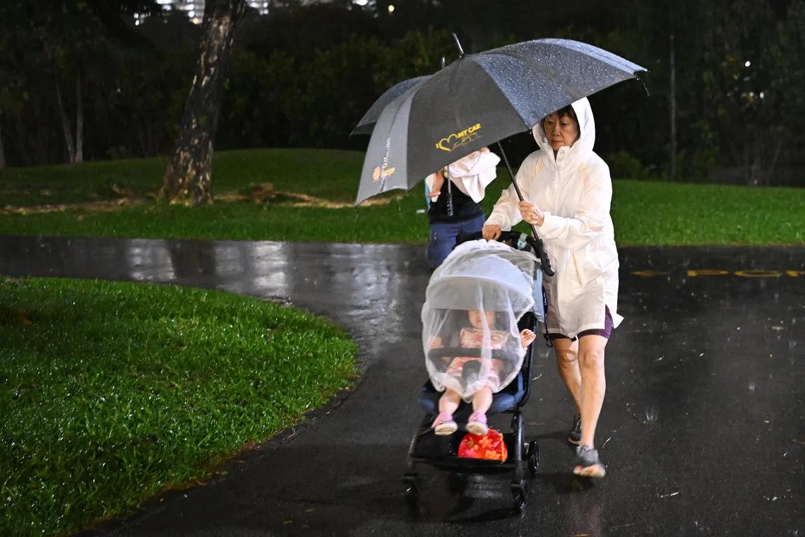 ST20240917-202465400224-Lim Yaohui-pixstorm/
People leaving Bishan-Ang Mo Kio Park under the heavy rain on Sept 17, 2024.
Strong winds and heavy rain lashed Singapore on the evening of Sept 17, toppling trees, snarling traffic and causing damage to a glass canopy outside UOB Plaza.
On Sept 16, the Meteorological Service Singapore said Sumatra squalls may bring widespread thundery showers and gusty winds on a few days in the next fortnight, with more rainfall expected towards the end of the month.
(ST PHOTO: LIM YAOHUI)