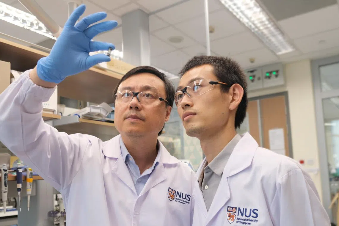 Prof Liu Xiaogang (left) and Dr Hou Bo from the NUS Department of Chemistry were key members of the team that developed the novel capsule dosimeter.