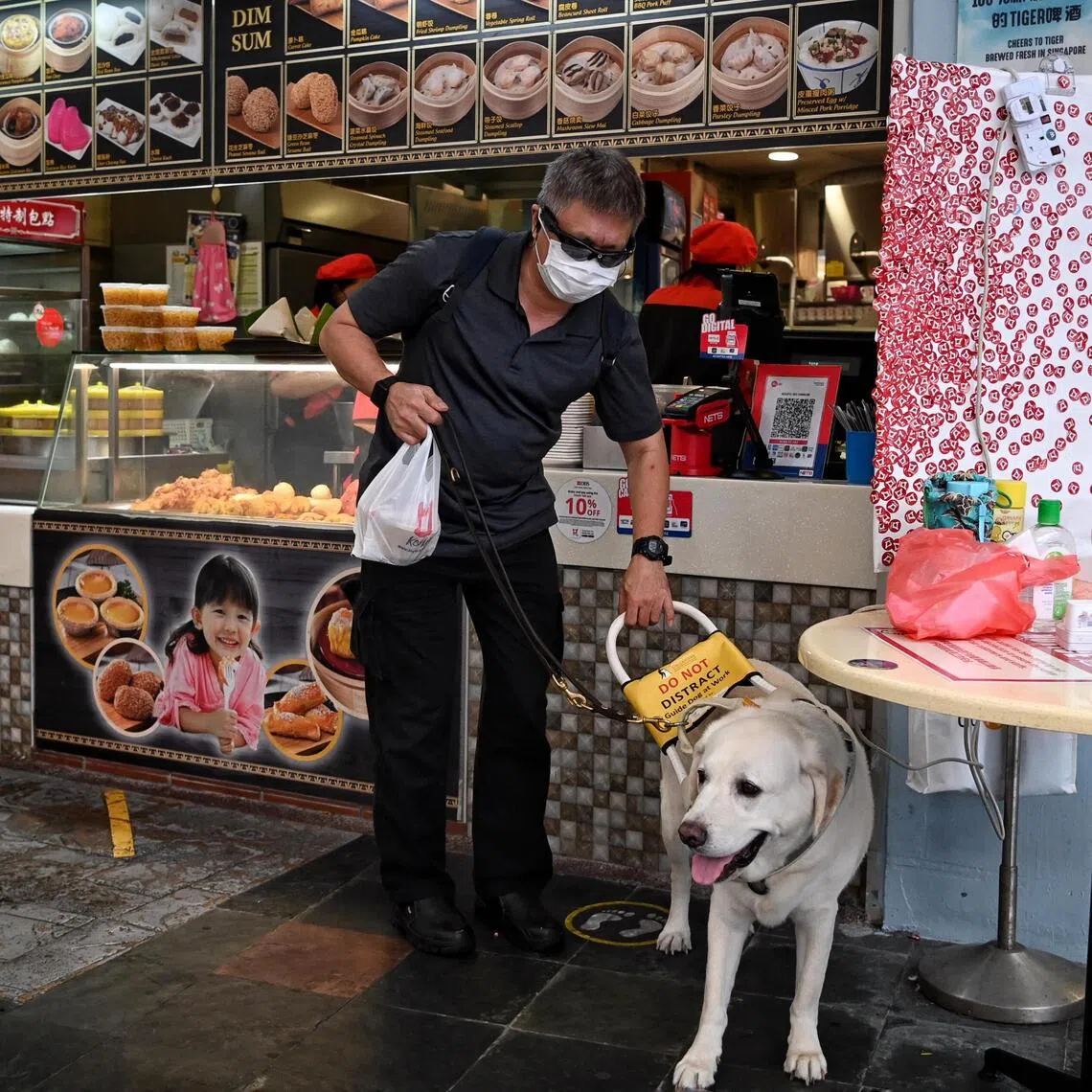 Individuals with physical or hearing impairments will soon be able to bring their assistance dogs into eateries under updated regulations.