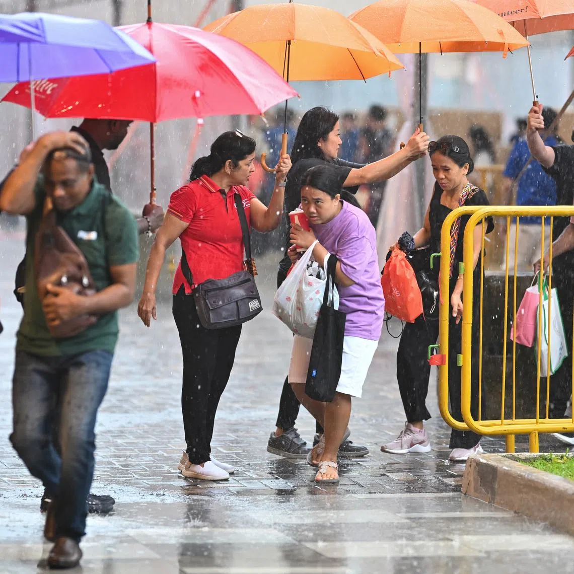 Rainfall for the second fortnight of January is forecast to be below average across most parts of the island.
