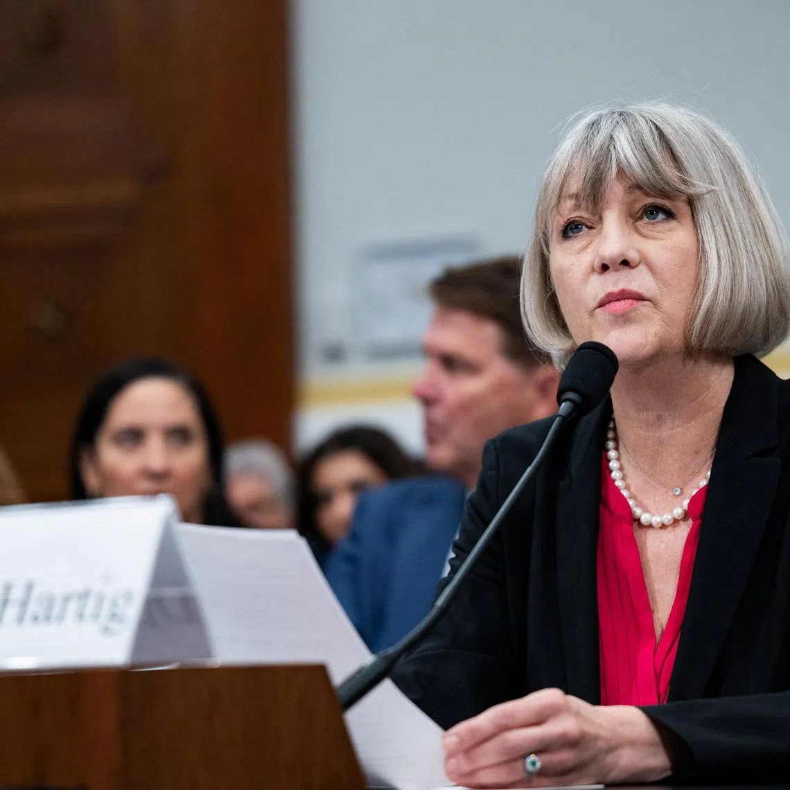 National Museum of American History Director Anthea Hartig testified before a House of Representatives oversight subcommittee that Americans visiting the museum get to see a wide range of US history.