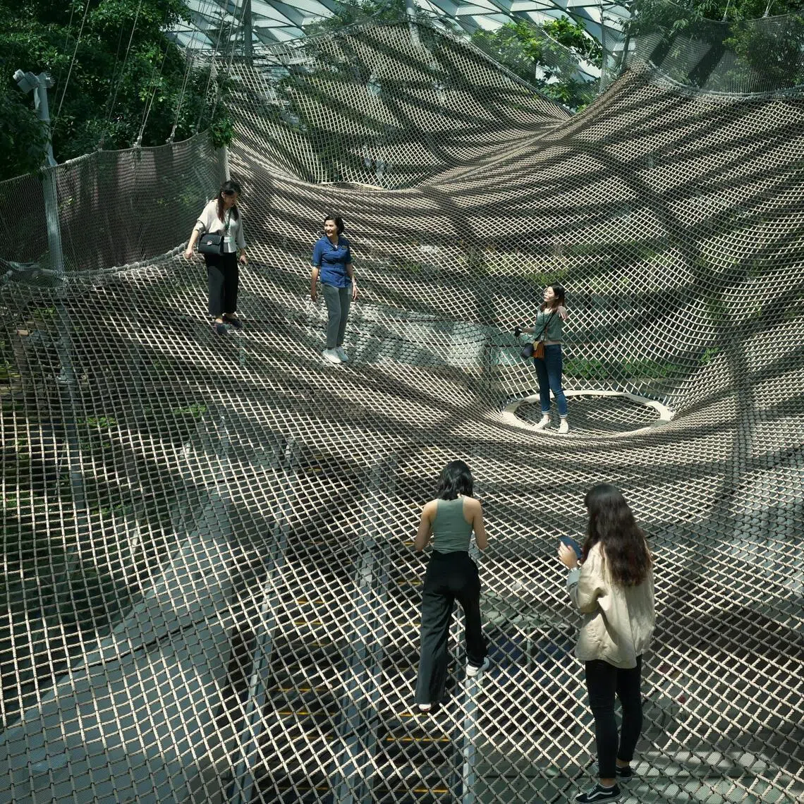 The Walking Net is a giant net suspended 25m above ground which visitors can walk on.  