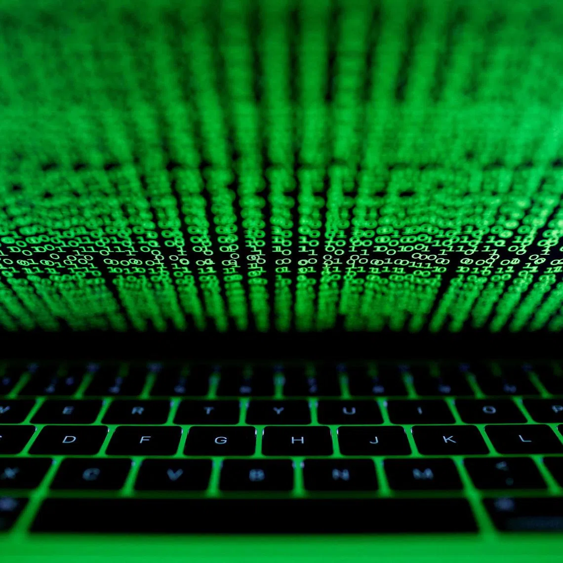 Groups of mostly young people hunt for paedophiles on the Internet by pretending to be children, to blackmail them or beat them up.