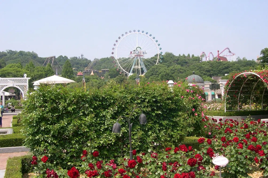 The teenagers said they were from Hanam, a city east of Seoul in Gyeonggi Province, and had walked over 44km overnight in their bid to reach Everland, the largest and most popular theme park in South Korea, located in Yongin. 
