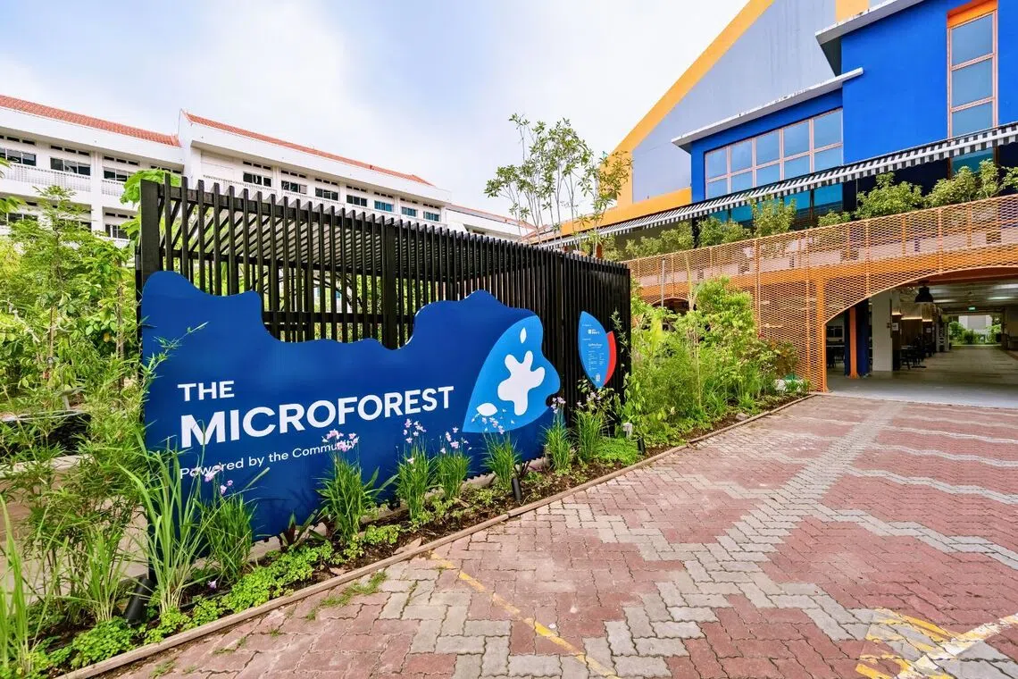 galería-de-carbono-microbosque