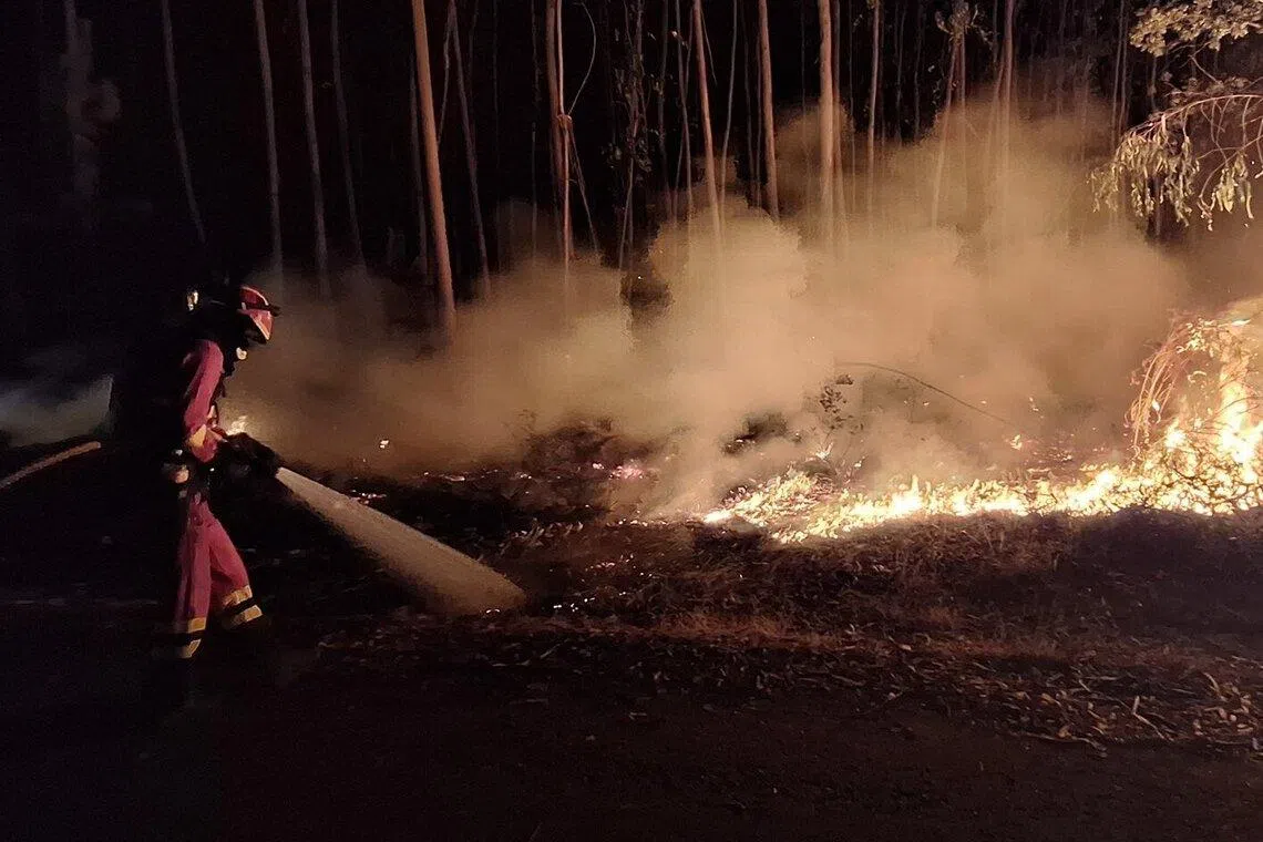 More than 1,000 firefighters battle to contain Portugal blaze