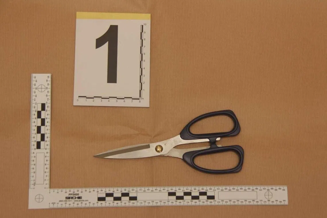 sqlavan03 

Credit: Singapore Police Force