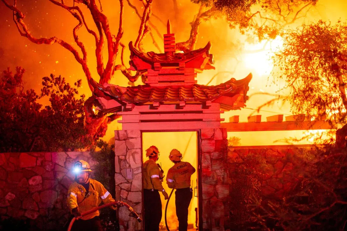 Firefighters battle the Palisades Fire as it burns during a windstorm on the west side of Los Angeles, California on Jan 8, 2025.  