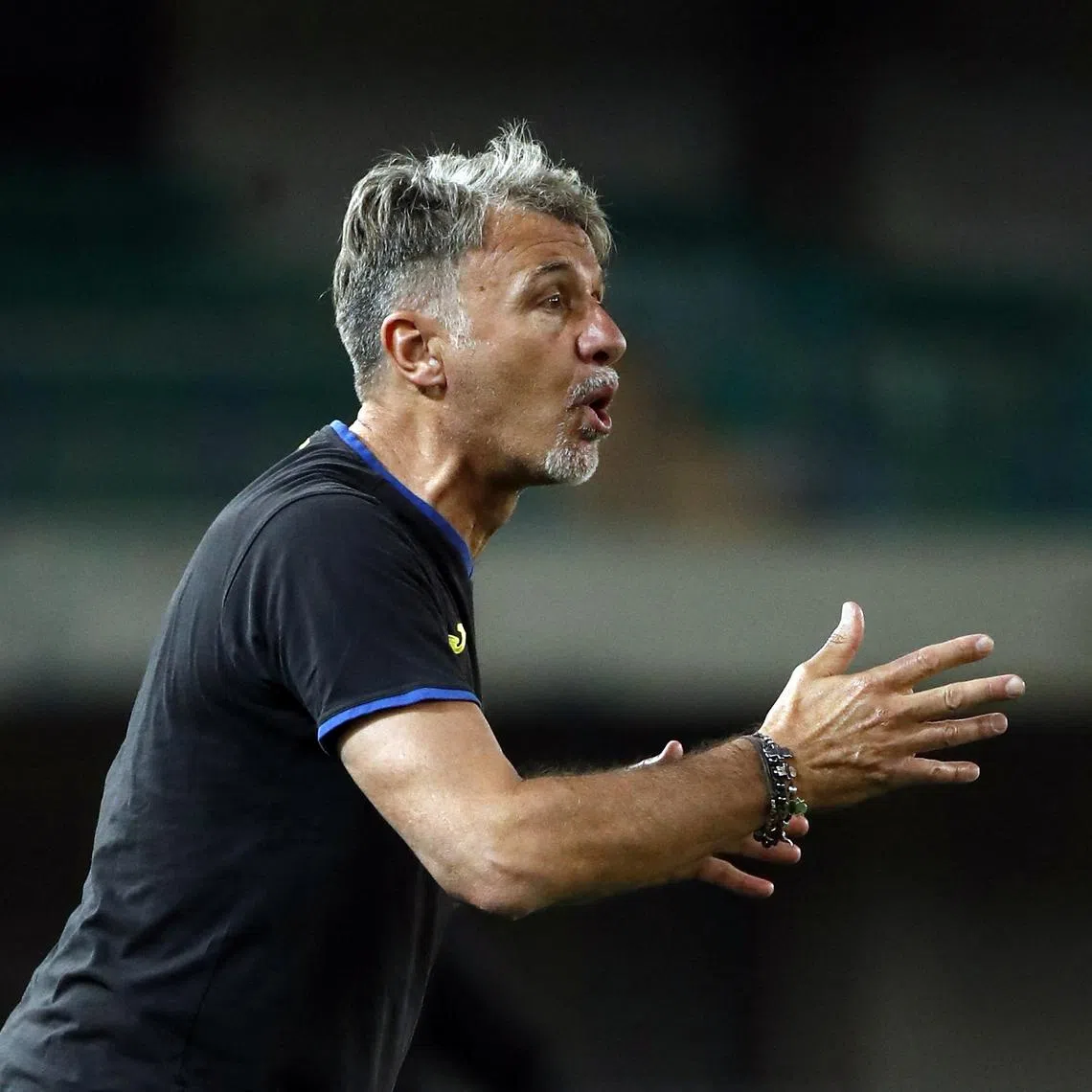 FILE PHOTO: Soccer Football - Serie A - Hellas Verona v Inter Milan - Stadio Marc'Antonio Bentegodi, Verona, Italy - May 26, 2024 Hellas Verona coach Marco Baroni reacts REUTERS/Alessandro Garofalo