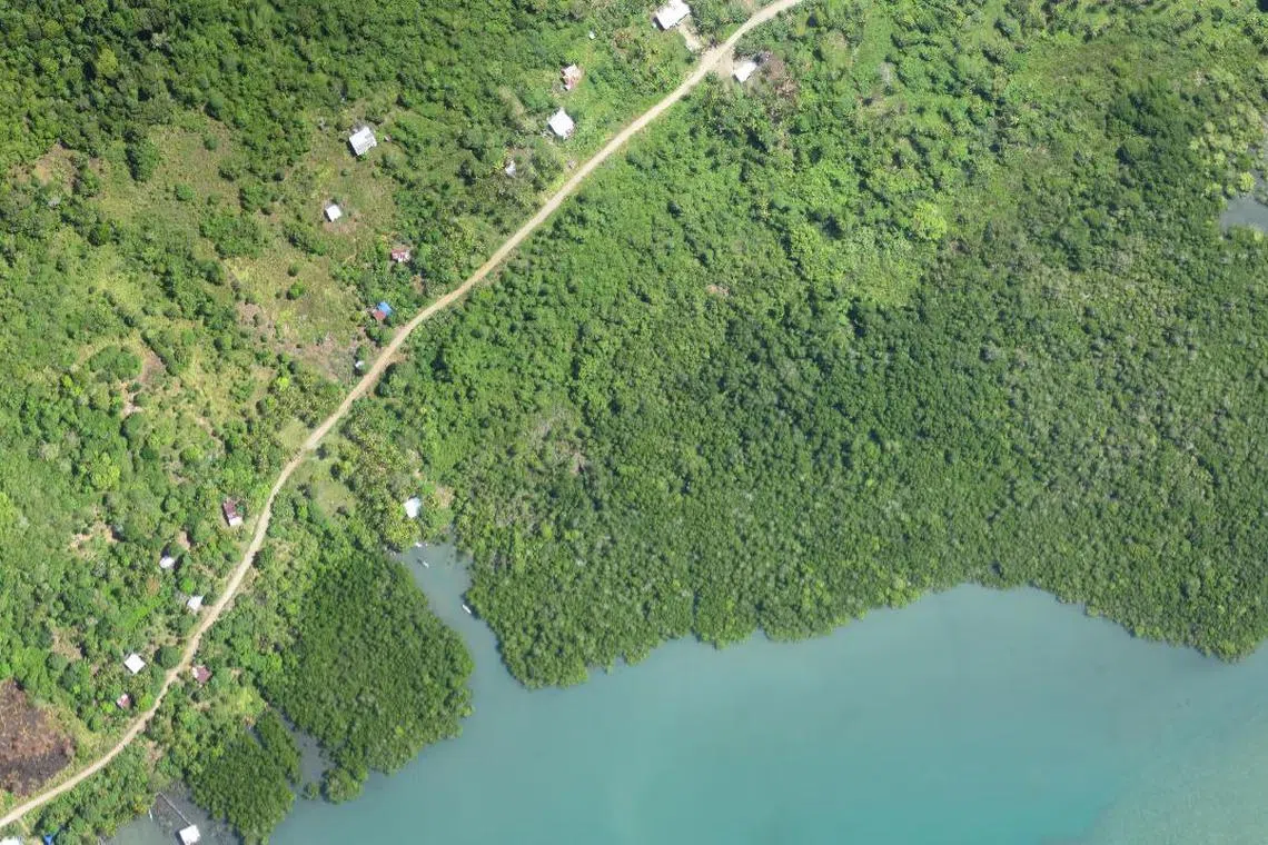 Habitat destruction - such as through deforestation in coastal habitats - in Malaysian Borneo may be bringing migratory birds in closer proximity to communities, facilitating the spread of the disease between the wild flocks and humans, a new study found.