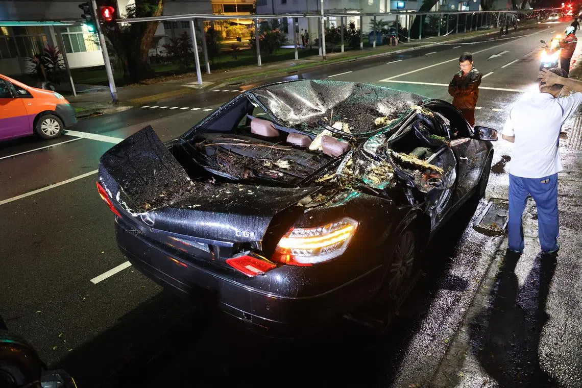 SM20230303-LowKS02 / 刘启成 / 潘靖颖 / 树倒 @ Tiong Bahru Road