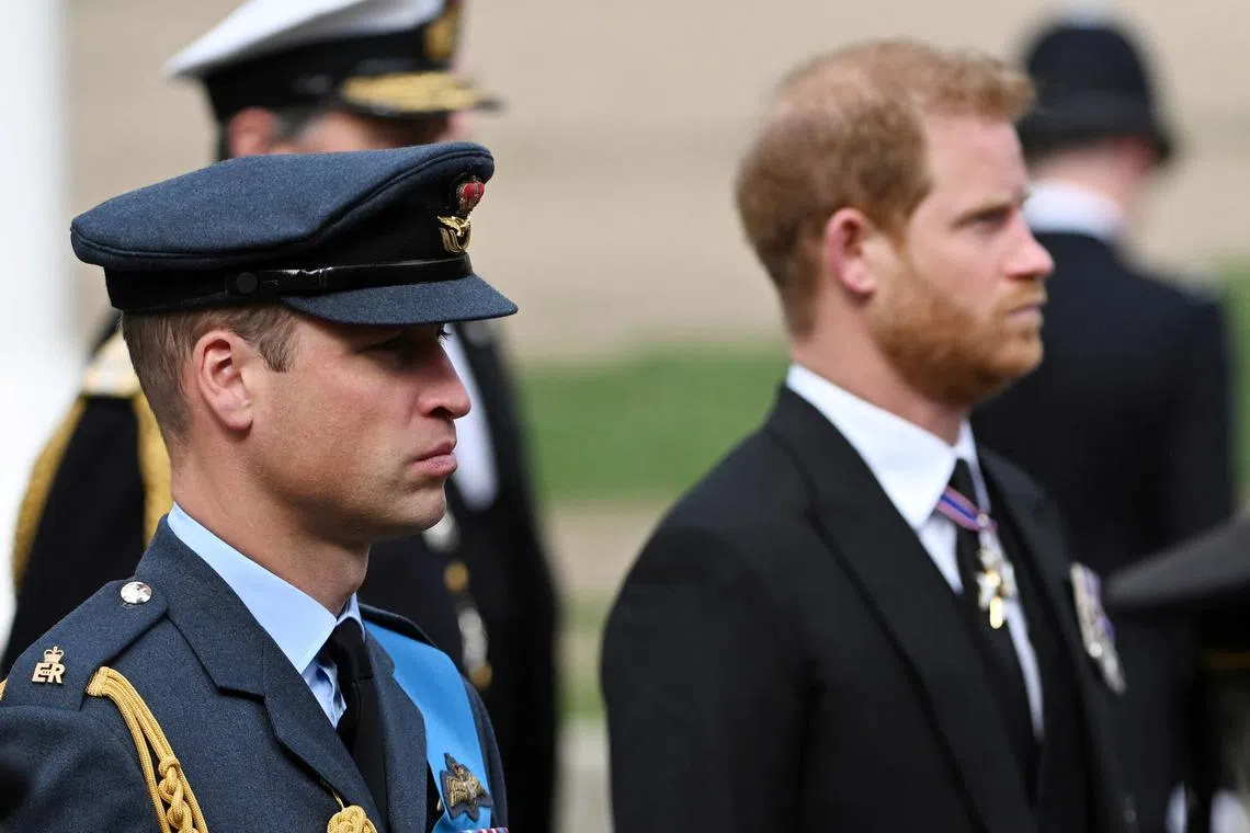 Prince Harry (right) has accused his elder brother Prince William of being part of media attacks.