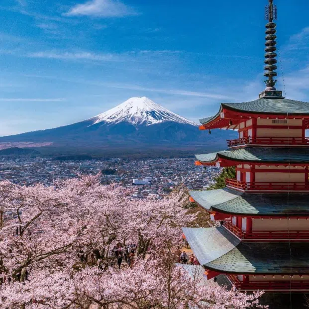 Mount Fuji in spring seen from the Arakurayama Sengen Park, with the Chureito Pagoda in the foreground.