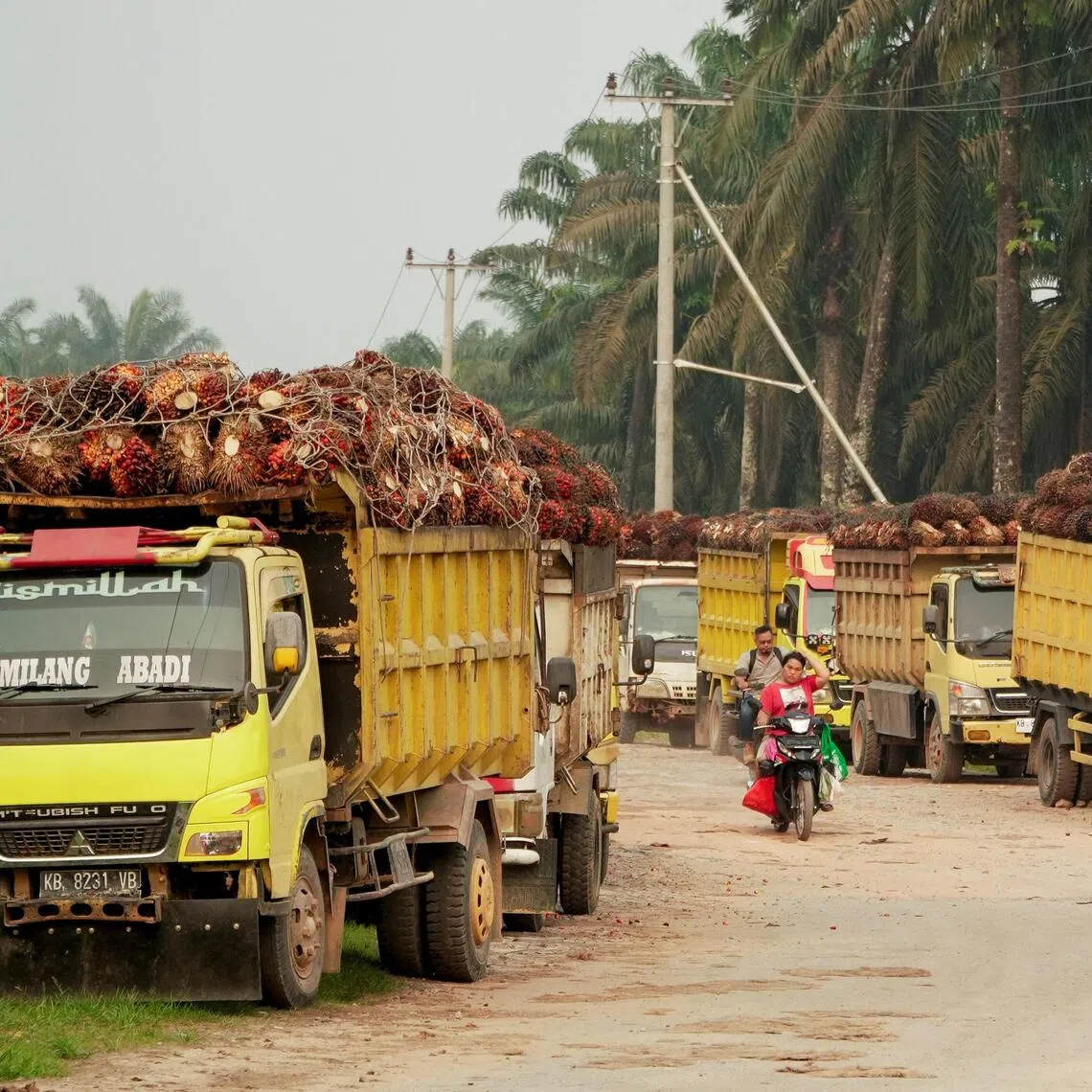 Investors in palm oil companies, including those listed in Singapore, have a role to play in reducing the risk of another haze crisis.
