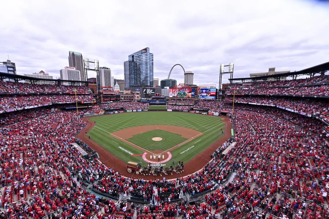 FILE PHOTO: Apr 4, 2024; St. Louis, Missouri, USA;  A general view as the Budweiser Clydesdales trot around the warning track before the St. Louis Cardinals home opener against the Miami Marlins at Busch Stadium. Mandatory Credit: Jeff Curry-USA TODAY Sports/File Photo