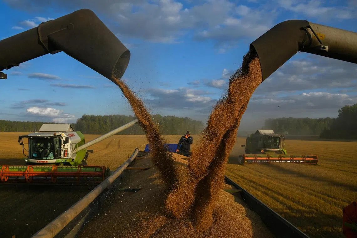 Russia’s overflowing grain ports have yielded the lowest wheat prices in almost three years.