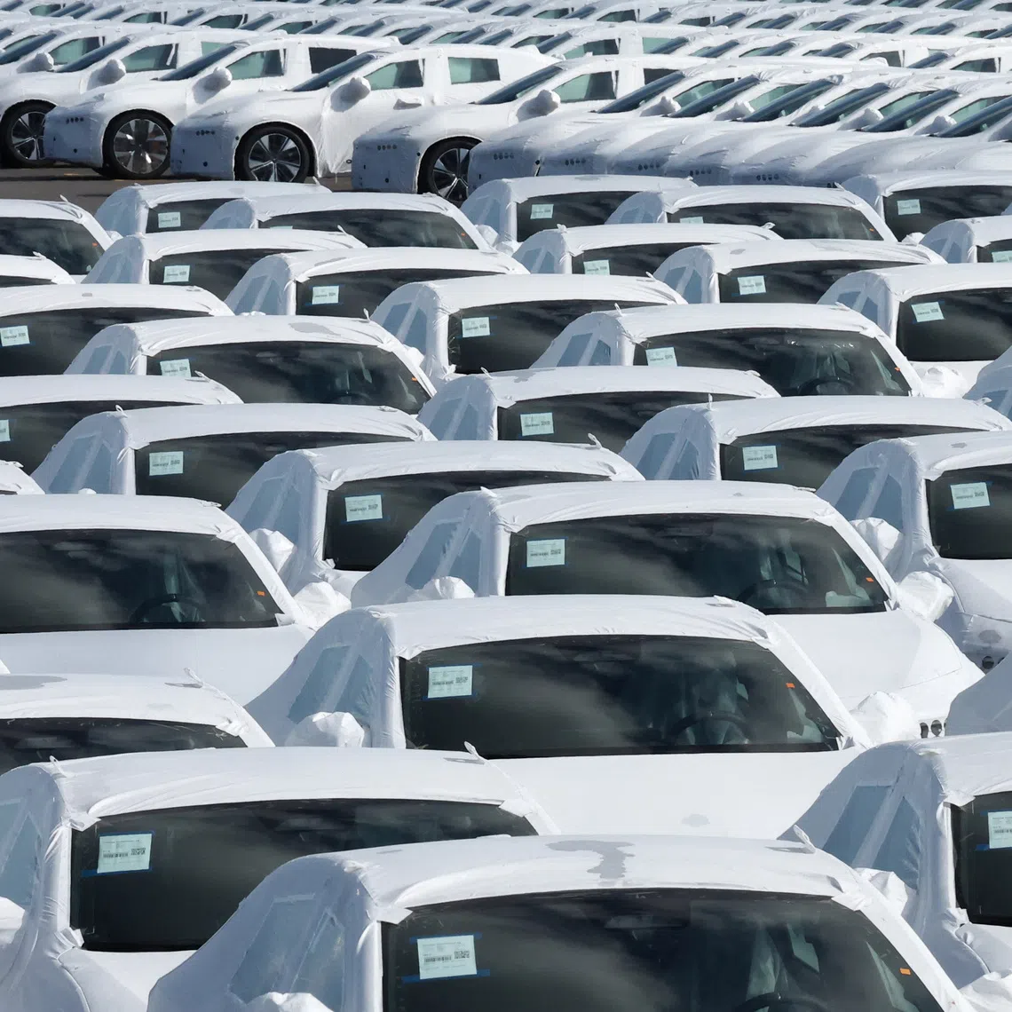 New cars are seen parked in the port of Zeebrugge, Belgium, October 4, 2024. REUTERS/Yves Herman