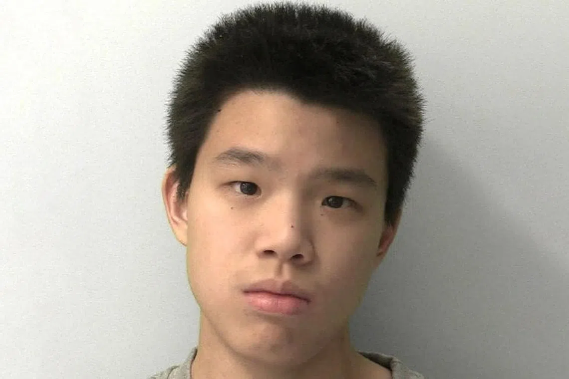 Thomas Wei Huang, 17, admitted to carrying out the violent attacks, but he claimed he was sleepwalking.