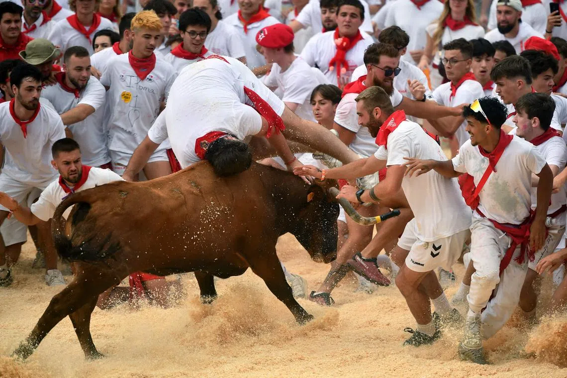 A participant is run over by a bull as he takes part in a cow race, to mark Children's Day during the 92th "Fetes de Bayonne" (Bayonne festival), in Bayonne, southwestern France, on July 11, 2024. 