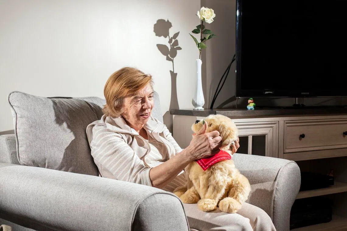 Carol DeMaio, 80, who has dementia, with her robotic dog Sabrina, named after a golden retriever who died, at her home in Garnerville, N.Y., on March 10, 2026. When DeMaio sleeps, the robot dog stays at the foot of her bed, reacting when she stirs awake.(Bryan Anselm/The New York Times)