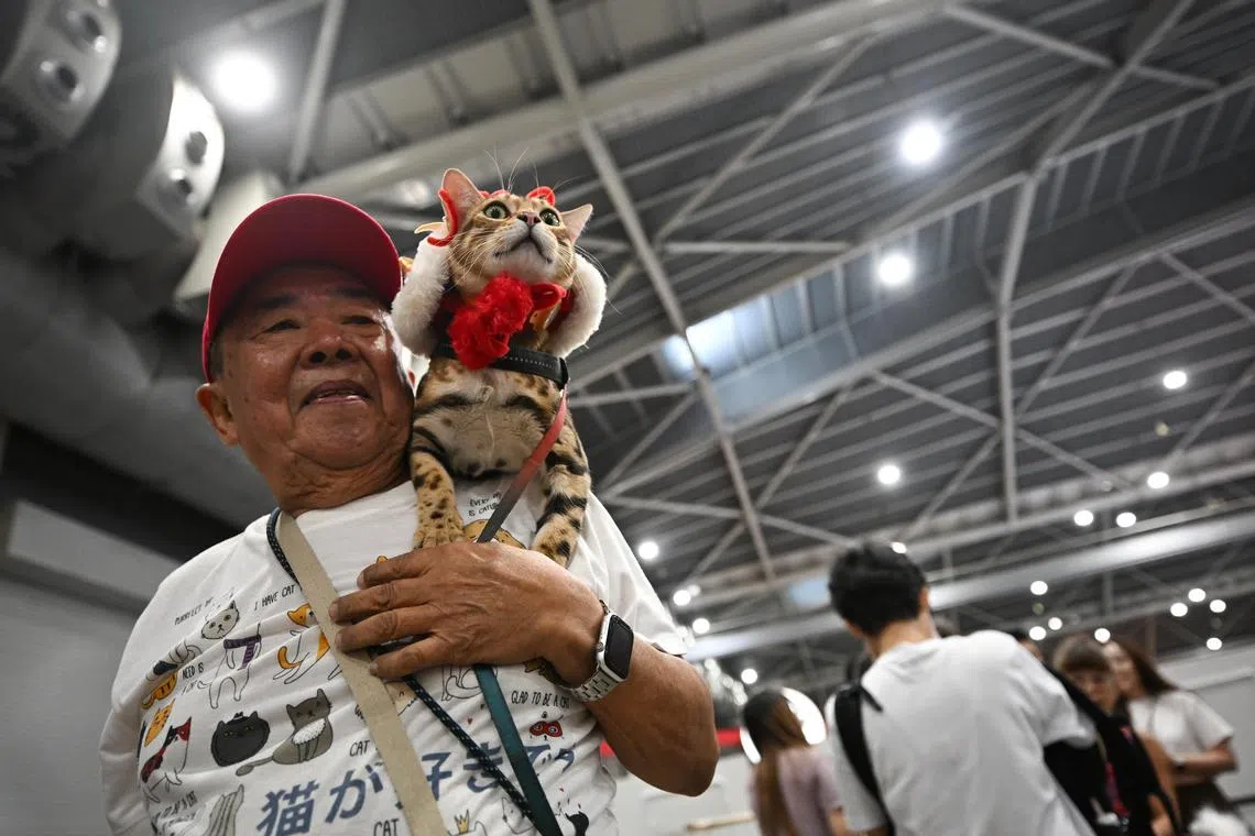 Mr Lee Keng Kiam, 79, Retiree, carrying his one-year-old leopard cat, at PetExpo, Singapore’s most anticipated pet-centric extravaganza on March 17, 2024.
