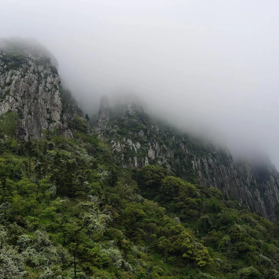 The 60-year-old Singaporean had allegedly entered the restricted zone of Sanbangsan Mountain on Jeju island.