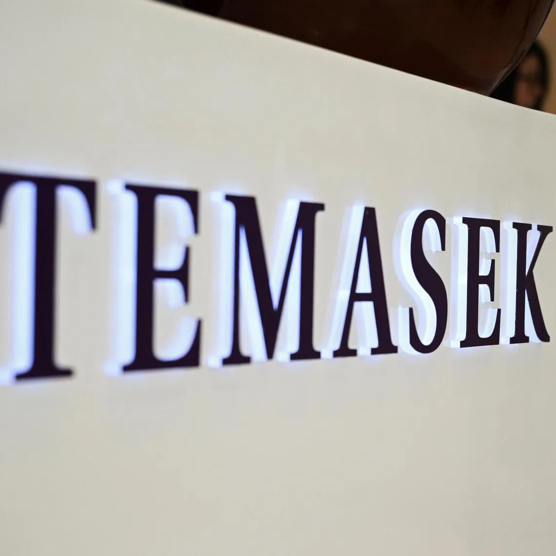 Gategroup, the former airline catering business of Swiss Air, is co-owned by Singapore’s Temasek and Hong Kong-based private equity firm RRJ Capital.