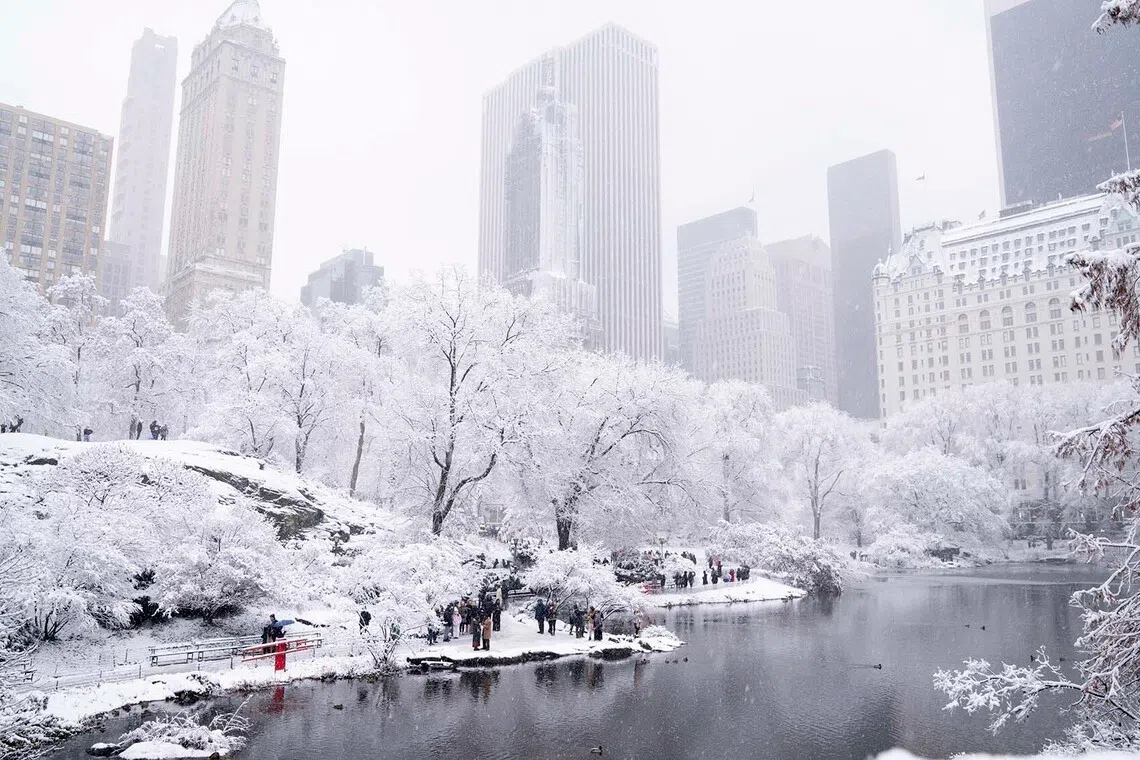 People gather in Central Park during a snowfall in Manhattan on Sunday, Dec. 14, 2025. Central Park was under a canvas of snow Sunday morning, with its trees, meadows and pathways frosted in a wintry icing after New York City’s first big snowfall of the season. (Janice Chung/The New York Times)